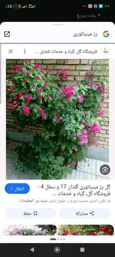 تصویر 4 - خانه دوبلکس با امکانات کامل در شوش