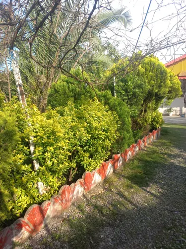 تصویر 12 - ویلا غریبی در ماسال