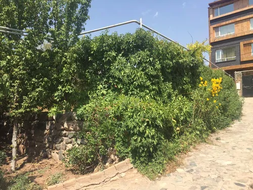تصویر 1 - خانه مهتا در  طالقان