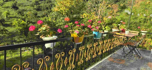 تصویر 31 - آپارتمان مبله افرا در  املش