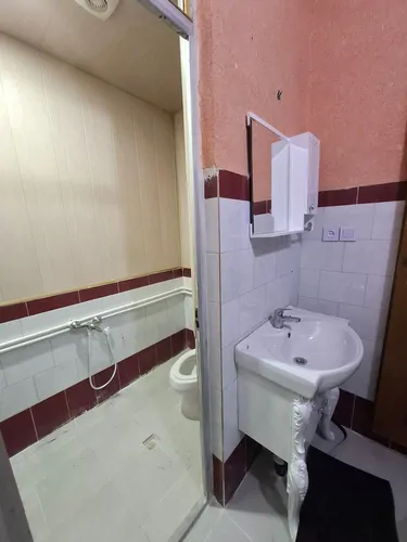 تصویر 11 - خانه داریون در شوشتر