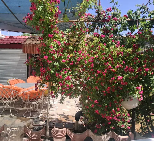 تصویر 35 - ویلا استخردار آبگرم بهارستان کبوتر آباد در اصفهان