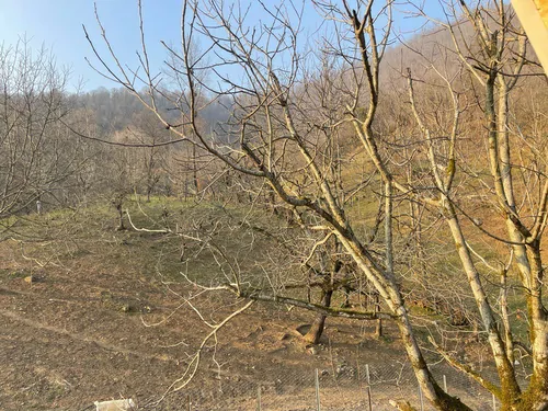 تصویر 18 - کلبه سوئیسی آمور در  ماسال