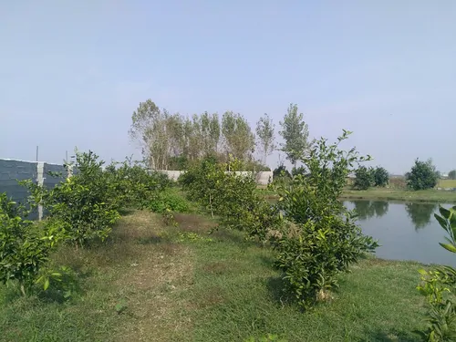 تصویر 25 - ویلا باغ دریاچه در  محمودآباد
