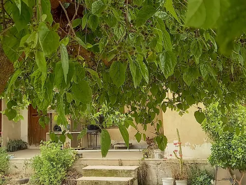 تصویر 4 - ویلا اقامتگاه خانه قدیمی در ساری
