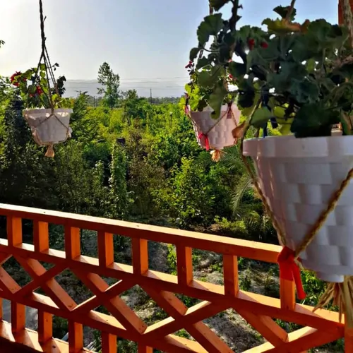 تصویر 8 - کلبه چوبی ارکیده در  ماسال