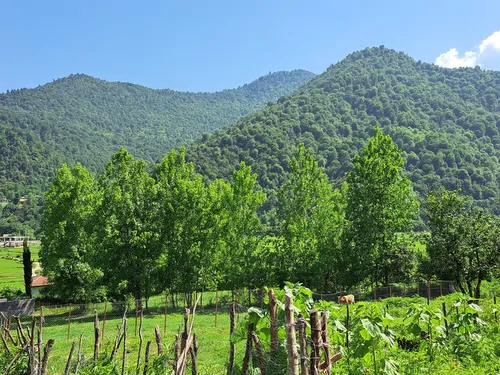 تصویر 29 - کلبه جنگلی ‌دنج‌‌ با جکوزی در  ماسال