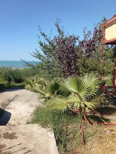 تصویر 3 - کلبه اقامتگاه پور باقی در رضوانشهر