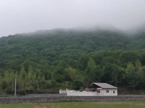 تصویر ۱ - ویلا جنگلی شمشاد کریمی در  سوادکوه