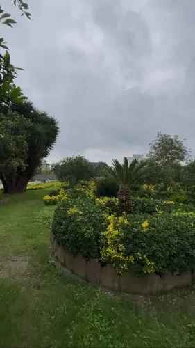 تصویر 17 - کلبه جنگلی الی در  هچیرود