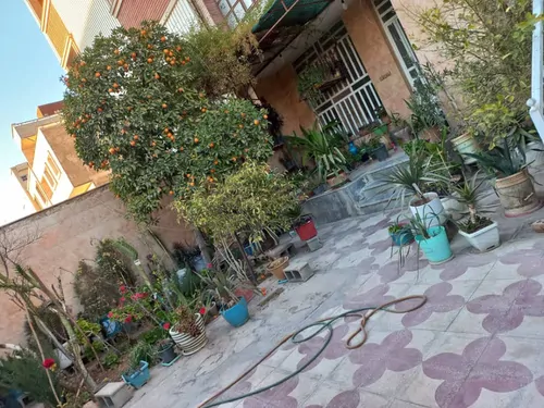تصویر 5 - خانه خانه مبله با حیاط دل‌انگیز  در  شیراز
