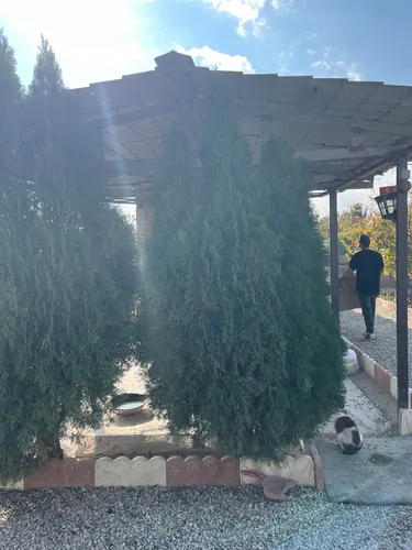 تصویر 5 - خانه باغچه ویلا دنج در  اسلامشهر