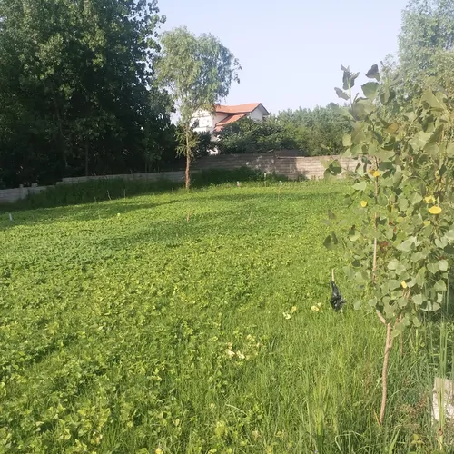 تصویر 4 - ویلا خانه در رودسر