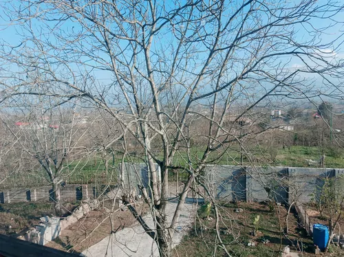 تصویر 8 - خانه مبله هانی (2) در رشت