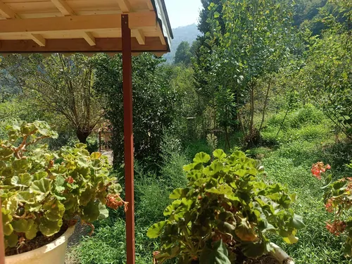 تصویر 15 - کلبه فردوسی  در  ماسال