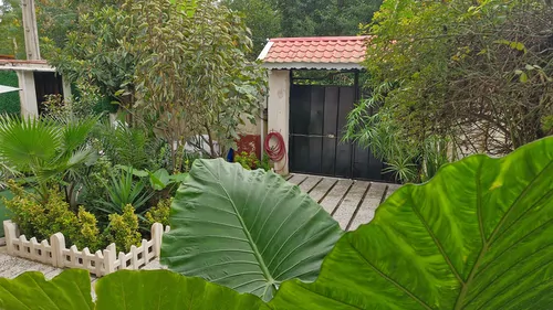 تصویر 66 - ویلا گل مرداب با جکوزی سنگی  در  انزلی