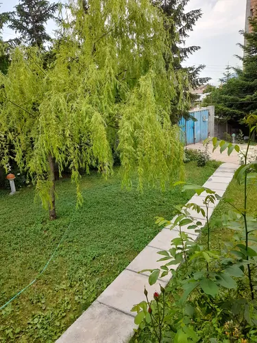 تصویر 8 - ویلا شکوفه در  کلاردشت