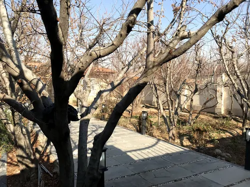 تصویر 14 - ویلا اورانوس در ماهدشت