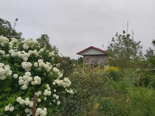 تصویر 11 - ویلا جنگلی باغ گلستان  در  ماسال