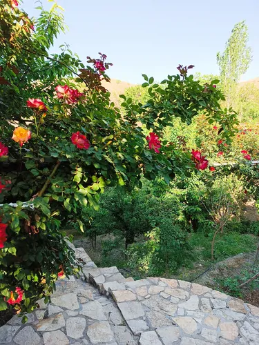 تصویر 6 - ویلا ییلاقی رویای (۲۱) در  طرقبه
