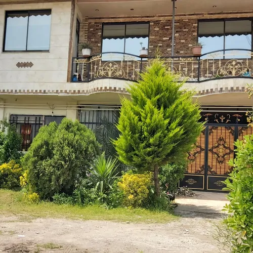 تصویر 11 - خانه مبله نیلوفر آبی در  کیاشهر