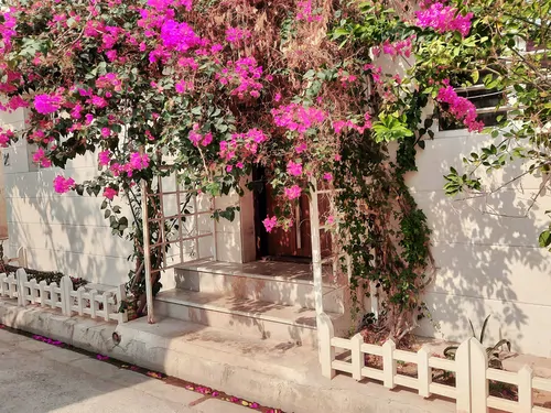 تصویر 13 - آپارتمان مبله بهار در  بوشهر