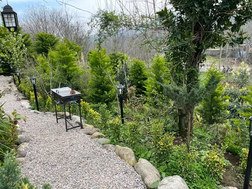تصویر 23 - کلبه سوئیسی چوبی استخردار آبگرم هیرکان در ماسال