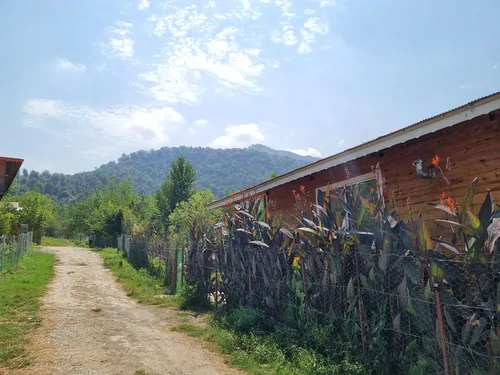 تصویر 11 - کلبه جنگلی لیام (روستای سیاهدول) در  ماسال