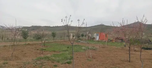 تصویر 4 - روستایی و عشایری مزرعه نور کمپینگ بومگردی طبیعتگردی در طالقان