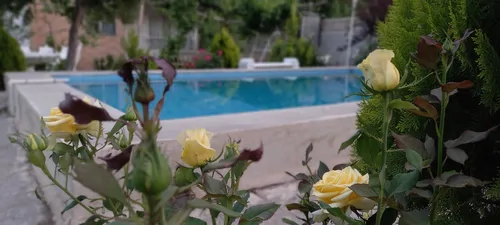 تصویر 5 - ویلا باغ ویلای استخردار مشرف به رودخانه و جنگلی در  باغ بهادران