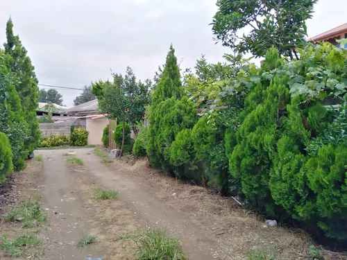 تصویر 7 - خانه ساحلی فرهنگ (طبقه همکف) در  کلاچای
