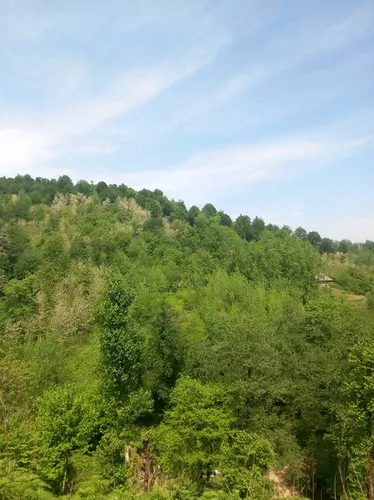 تصویر 8 - ویلا ویلایی پدر در رشت