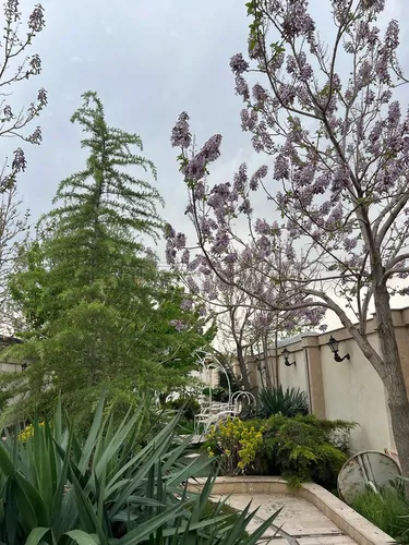 تصویر 5 - ویلا ویلالاکچری استخردار اب گرم  در  شاندیز