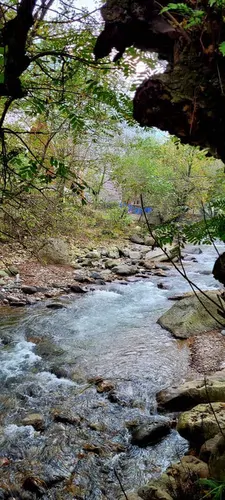 تصویر 26 - کلبه چوبی امیر  در  جاده اسالم خلخال