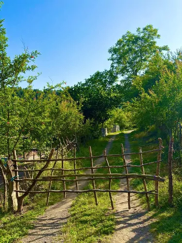 تصویر 18 - کلبه سوئیسی آنیدا در  ماسال