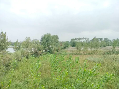 تصویر 4 - ویلا ویلا استخر دار آب گرم فول امکانات در رشت