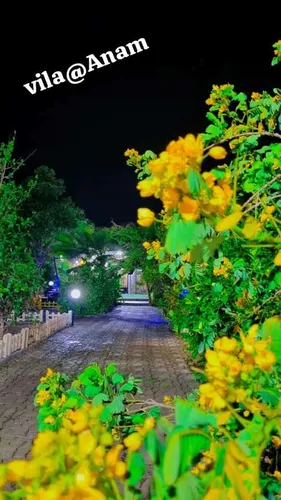 تصویر 14 - ویلا استخر آبسرد آنام در  دزفول