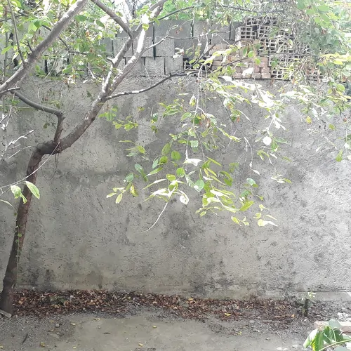 تصویر 15 - خانه ویلایی ارسباران در  کلیبر