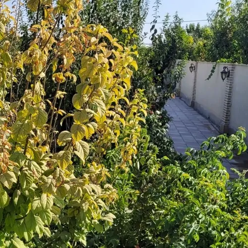 تصویر 4 - ویلا رونیکا استخر دار در سهیلیه