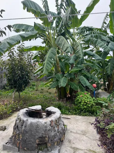 تصویر 10 - روستایی و عشایری برکه ی آرام  در  جویبار
