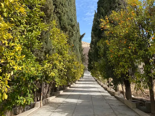 تصویر 3 - ویلا باغ فول امكانات و با صفا در شیراز