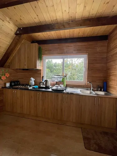 تصویر 6 - کلبه سوئیسی وودا  در  رامسر