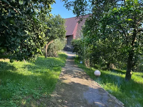 تصویر 6 - کلبه سوئیسی سروستان با جکوزی در سوادکوه