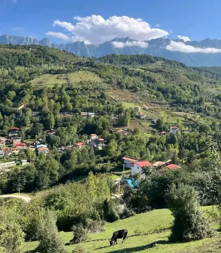 تصویر 5 - ویلا ویلای لاکچری روستایی با دید جنگل و کوه در ساری