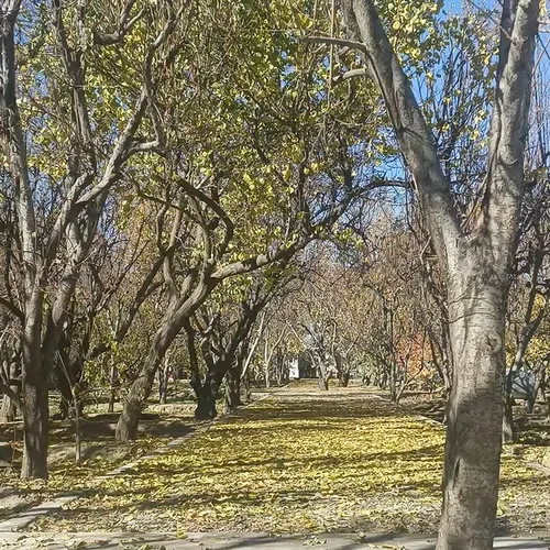 تصویر 5 - روستایی و عشایری باغ ویلا در  شهریار
