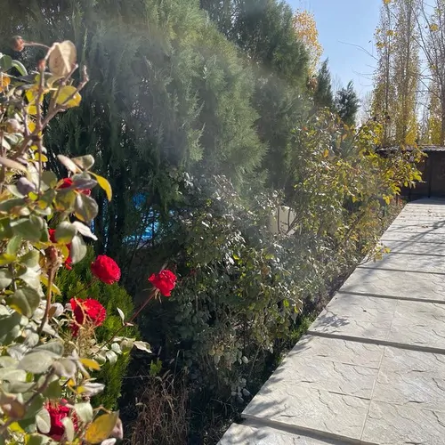 تصویر 3 - ویلا کاوه در سهیلیه