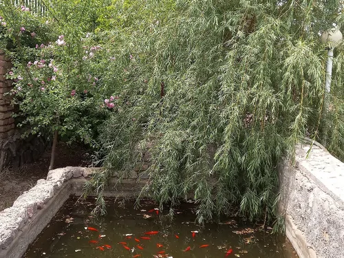 تصویر 5 - ویلا بوژان  در  نیشابور