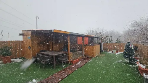 تصویر 2 - کلبه چوبی بافی در شهران در  تهران