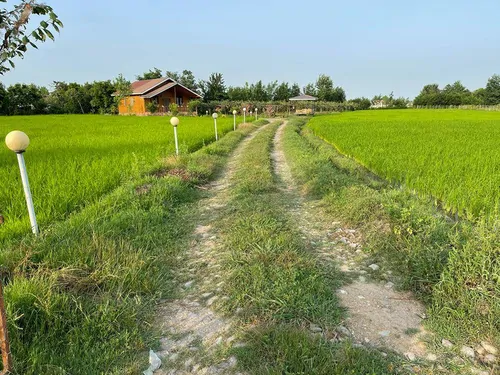 تصویر 13 - کلبه چوبی سورنا در  ماسال