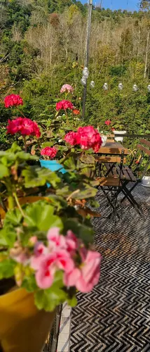 تصویر 3 - آپارتمان مبله افرا در  املش